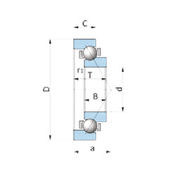  712157710 INA Angular Contact Ball Bearings