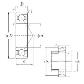  7015B KOYO Angular Contact Ball Bearings