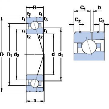  7019 ACE/P4AL SKF Angular Contact Ball Bearings