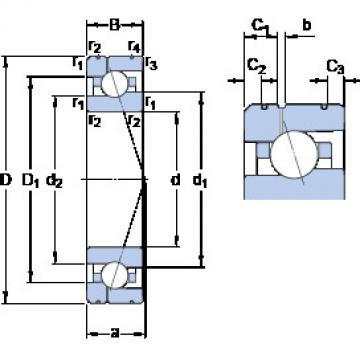  7024 CE/HCP4AL1 SKF Angular Contact Ball Bearings