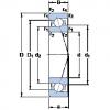  7013 ACE/HCP4A SKF Angular Contact Ball Bearings